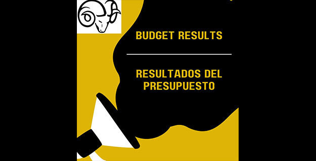 Budget Vote Graphic