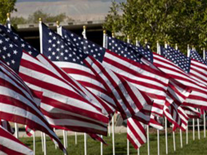 American Flags In The Ground