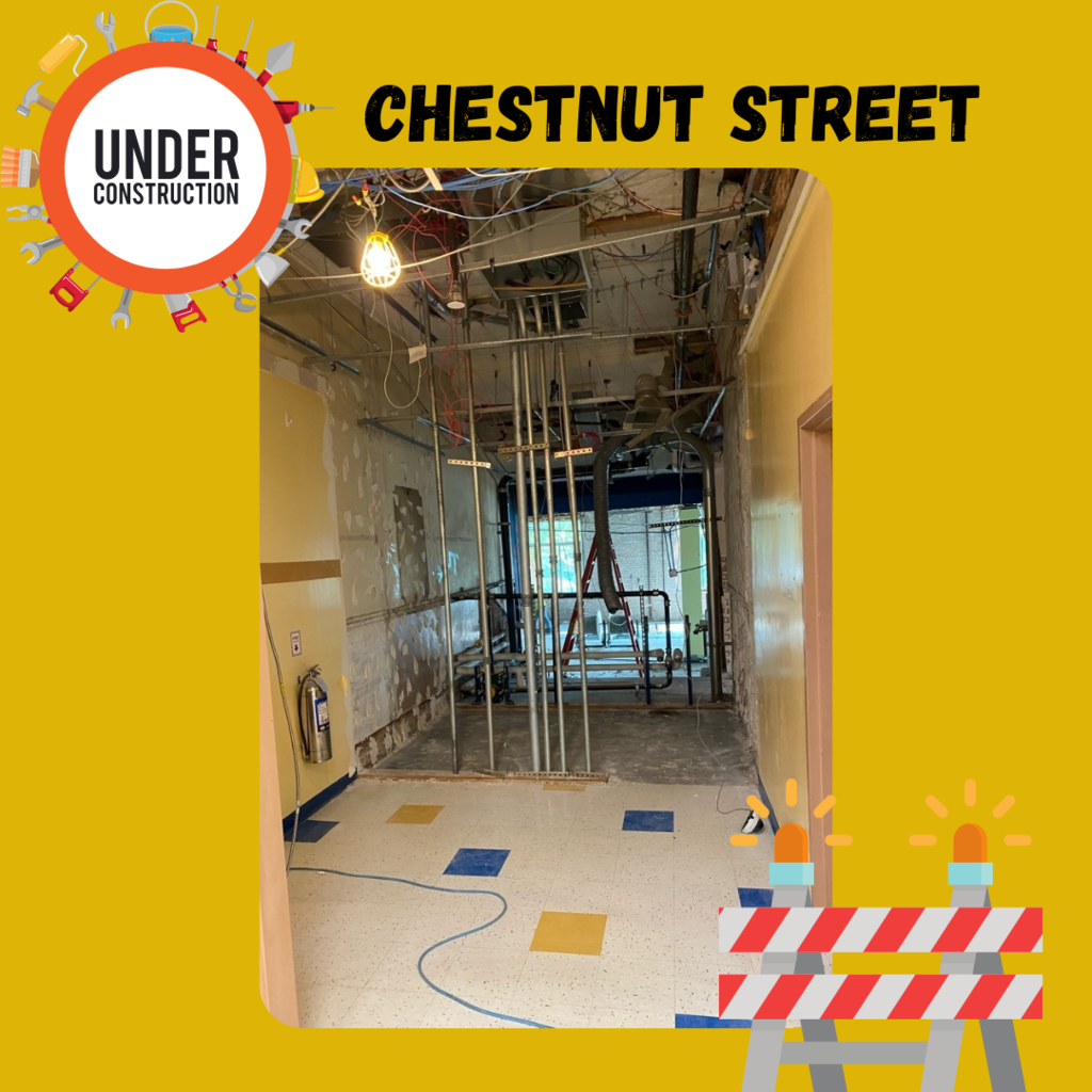 Chesnut Street