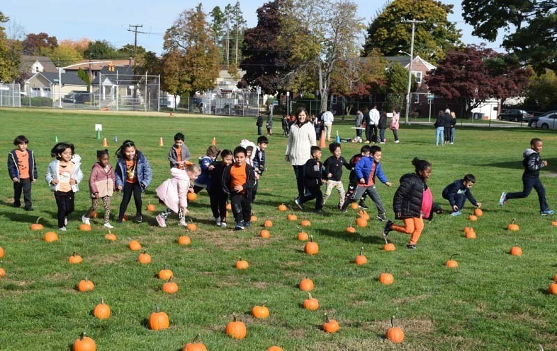 Students Picking Pumpkins